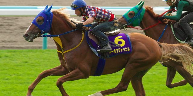 競馬 ポスター トーホウジャッカル 投稿詳細｜MOTOCLE