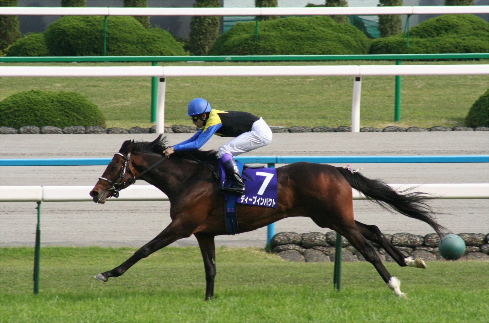 POG】指名してはいけないディープインパクト産駒の傾向① | 競馬ヘッド