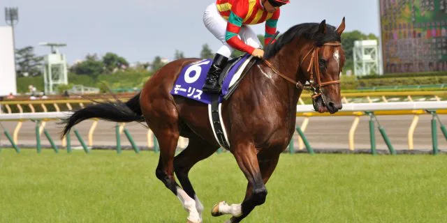 Maurice_20150607_tokyorc-