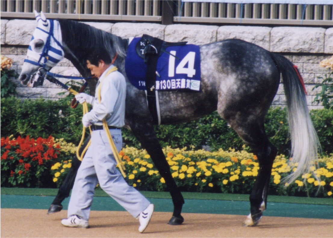 ■現地的中単勝馬券■ ヒシミラクル 2003年 宝塚記念　ミラクルおじさん ミラクルおじさん。単勝コロガシで約2億円！！ | 競馬ヘッドライン