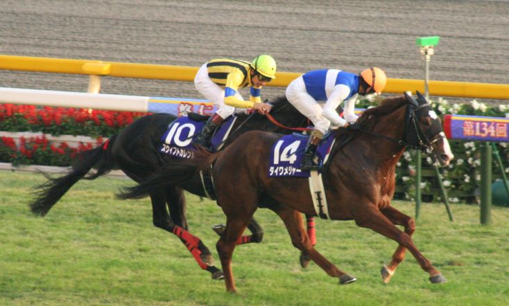 追憶の名馬面】ダイワメジャー | 競馬ヘッドライン