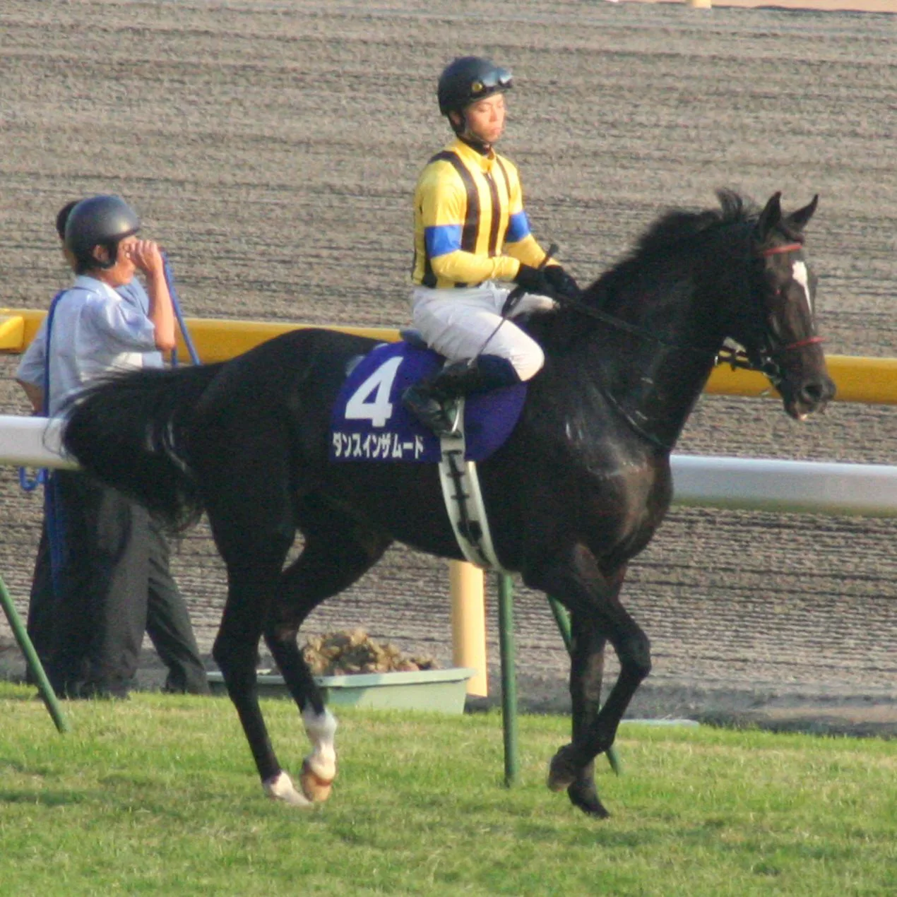 ダンスインザムード現地的中単勝馬券 Dance_in_the_mood_20061029R1.