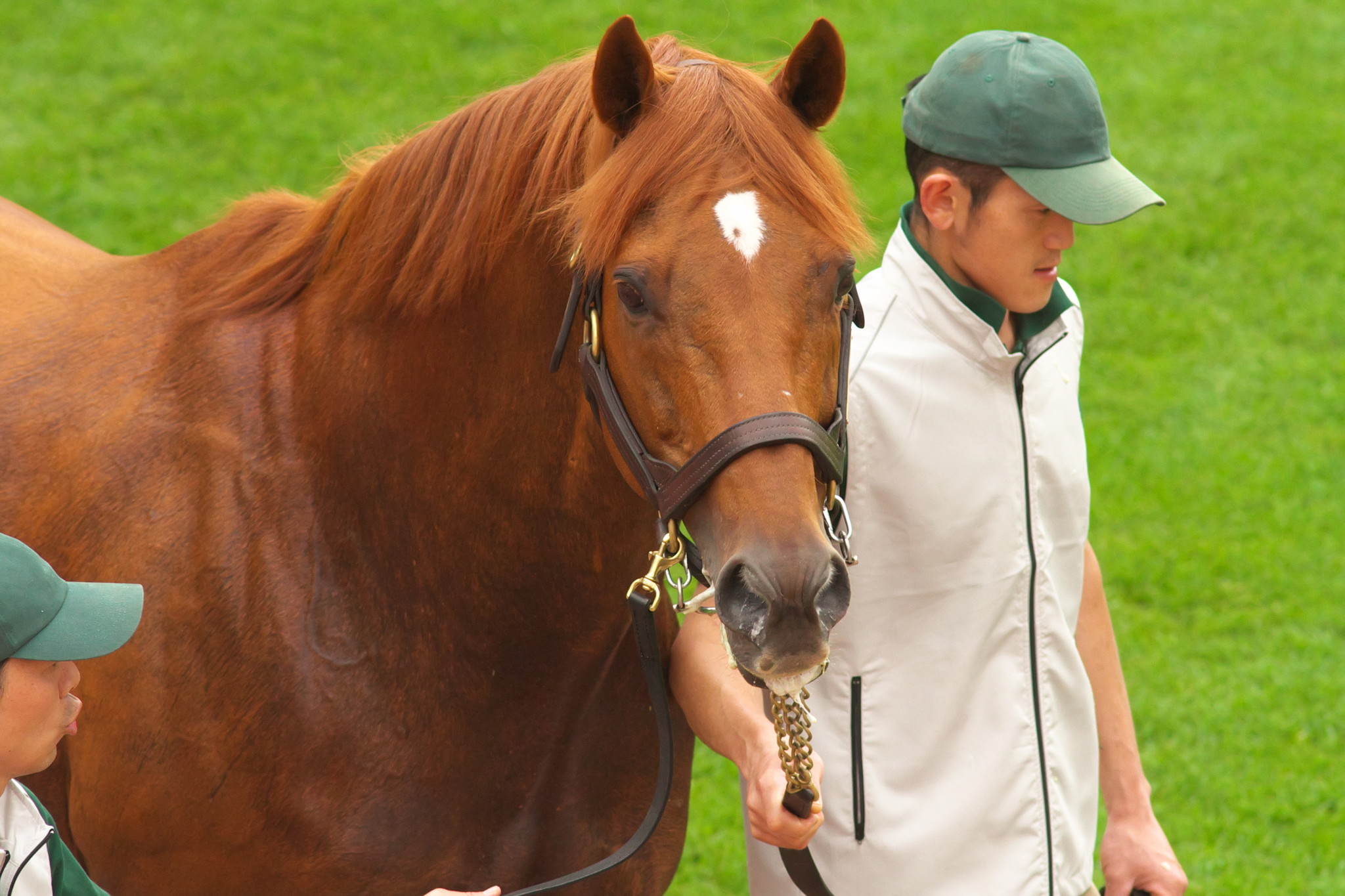 不死鳥”グラスワンダー、種牡馬を引退。血は受け継がれていく | 競馬