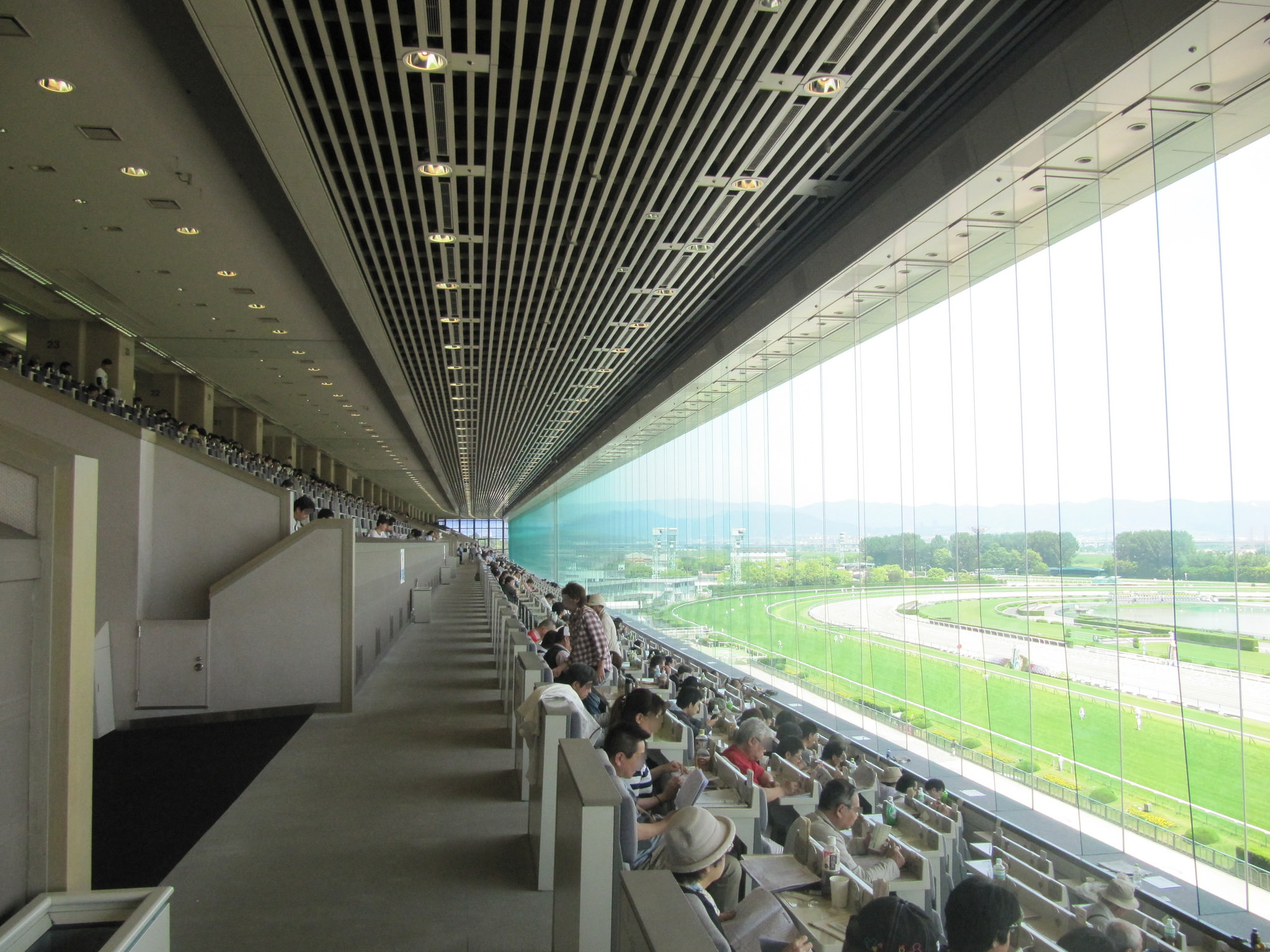競馬場の指定席のメリット・デメリットとは？ | 競馬ヘッドライン