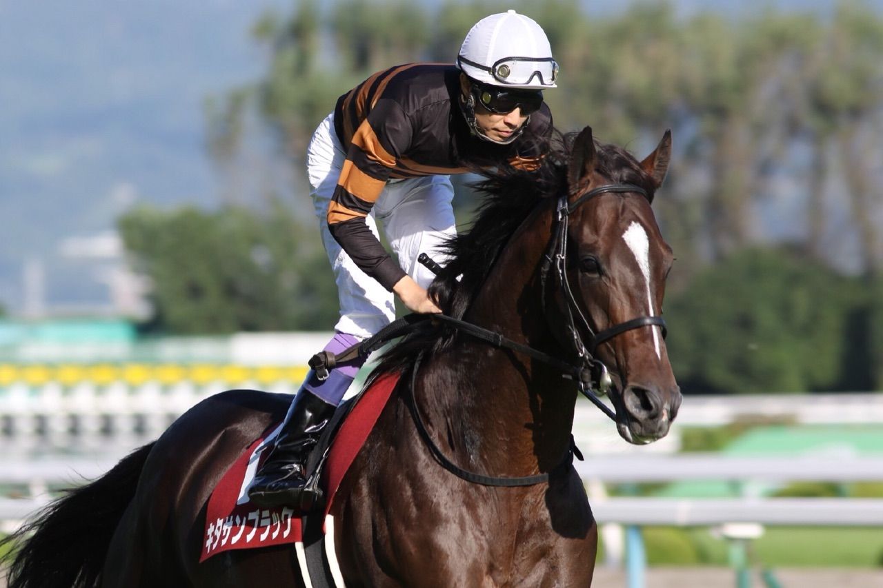 大阪杯2017結果】キタサンブラック快勝！G1・4勝目を達成 | 競馬ヘッド