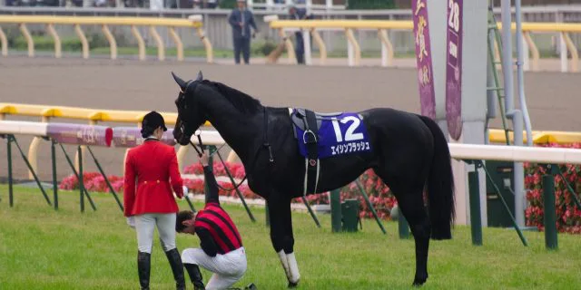 漆黒のダービー馬”エイシンフラッシュ、種牡馬としても復権なるか
