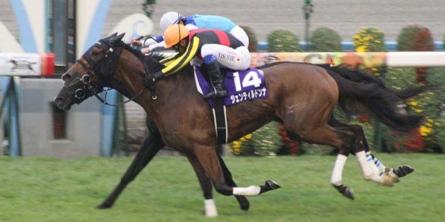 競馬非売品 ジェンティルドンナ 貴重 競馬非売品 ジェンティルドンナ 貴重 競馬非売品 ジェンティルドンナ 貴重