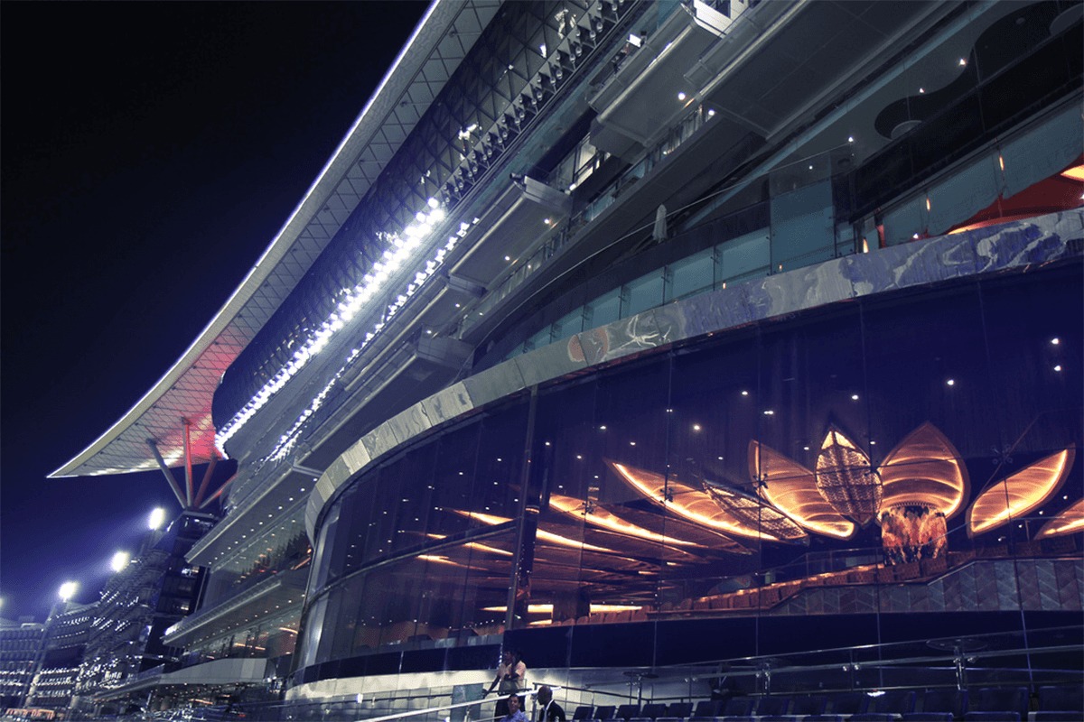 ドバイターフ2023】セリフォスが1番人気、英国ブックメーカーが発表 | 競馬ヘッドライン