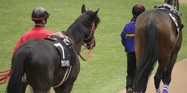 天皇賞春2026予想】矢作厩舎2頭出し、執念の一戦 | 競馬ヘッドライン