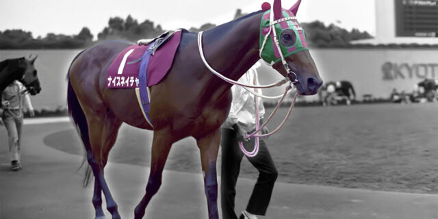 ナイスネイチャ、35歳のバースデードネーションも記録更新 | 競馬