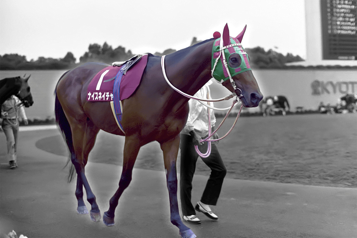 ナイスネイチャ、35歳のバースデードネーションも記録更新 | 競馬