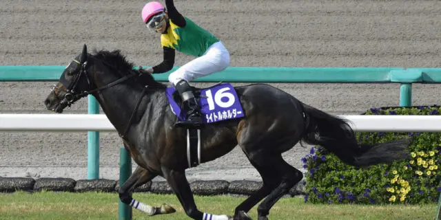 title_holder-1-640x320.jpg.webp