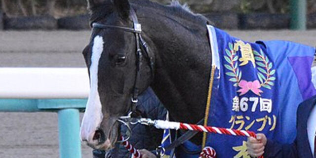 イクイノックス初回限定盤　入手困難　Ｓサイズ Amazon | 「イクイノックス」6冠記念Ver.ジグソーパズル500ピース