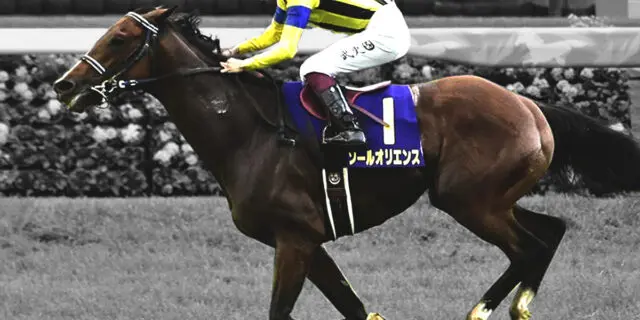 JRAポスター ソールオリエンス 特別ホビー・楽器・アート - JRA 競馬