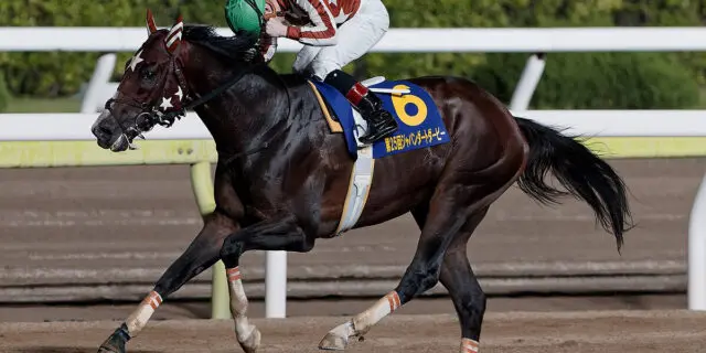 地方競馬】ミックファイアはダービーグランプリへ、その後はJBC