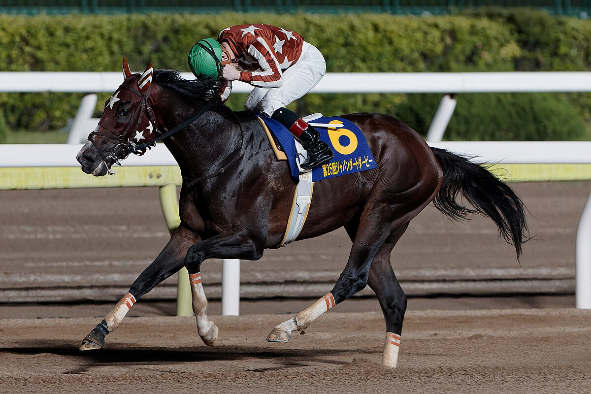 地方競馬】ミックファイアはダービーグランプリへ、その後はJBC