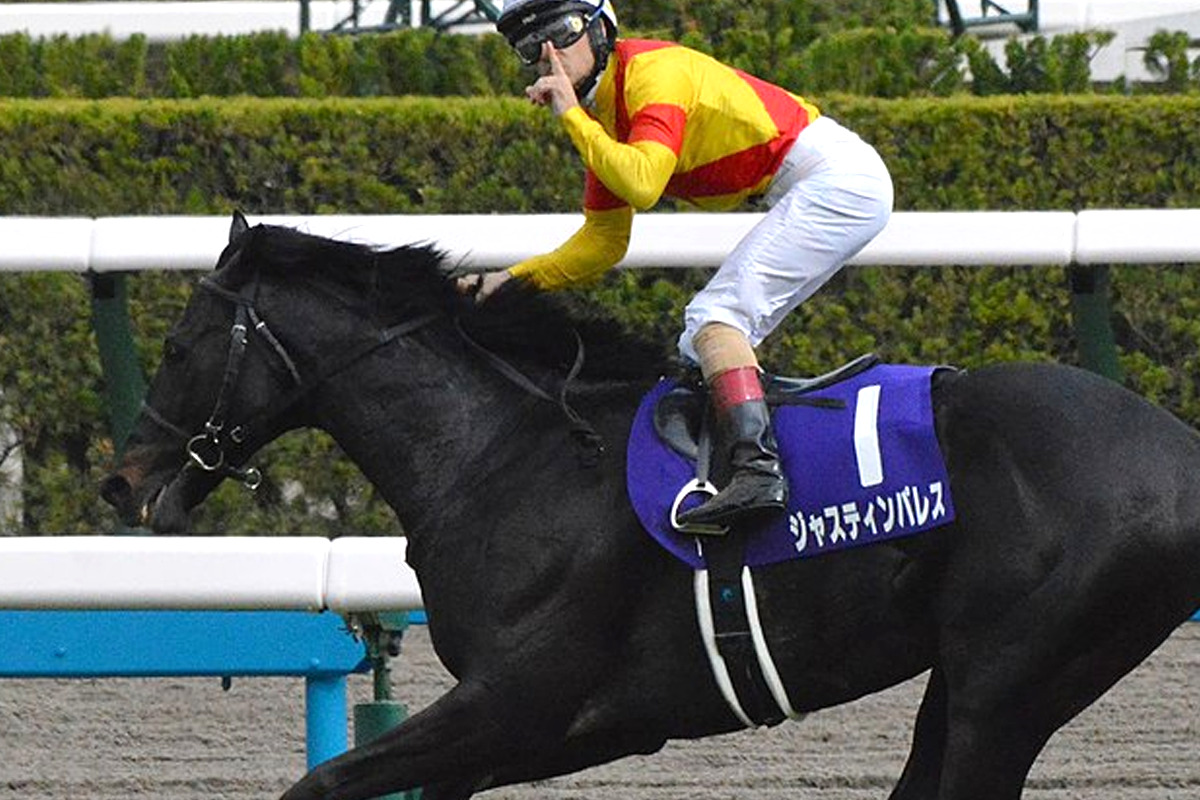 JRA】ジャスティンパレスは放牧へ、秋に備えて休養 | 競馬ヘッドライン