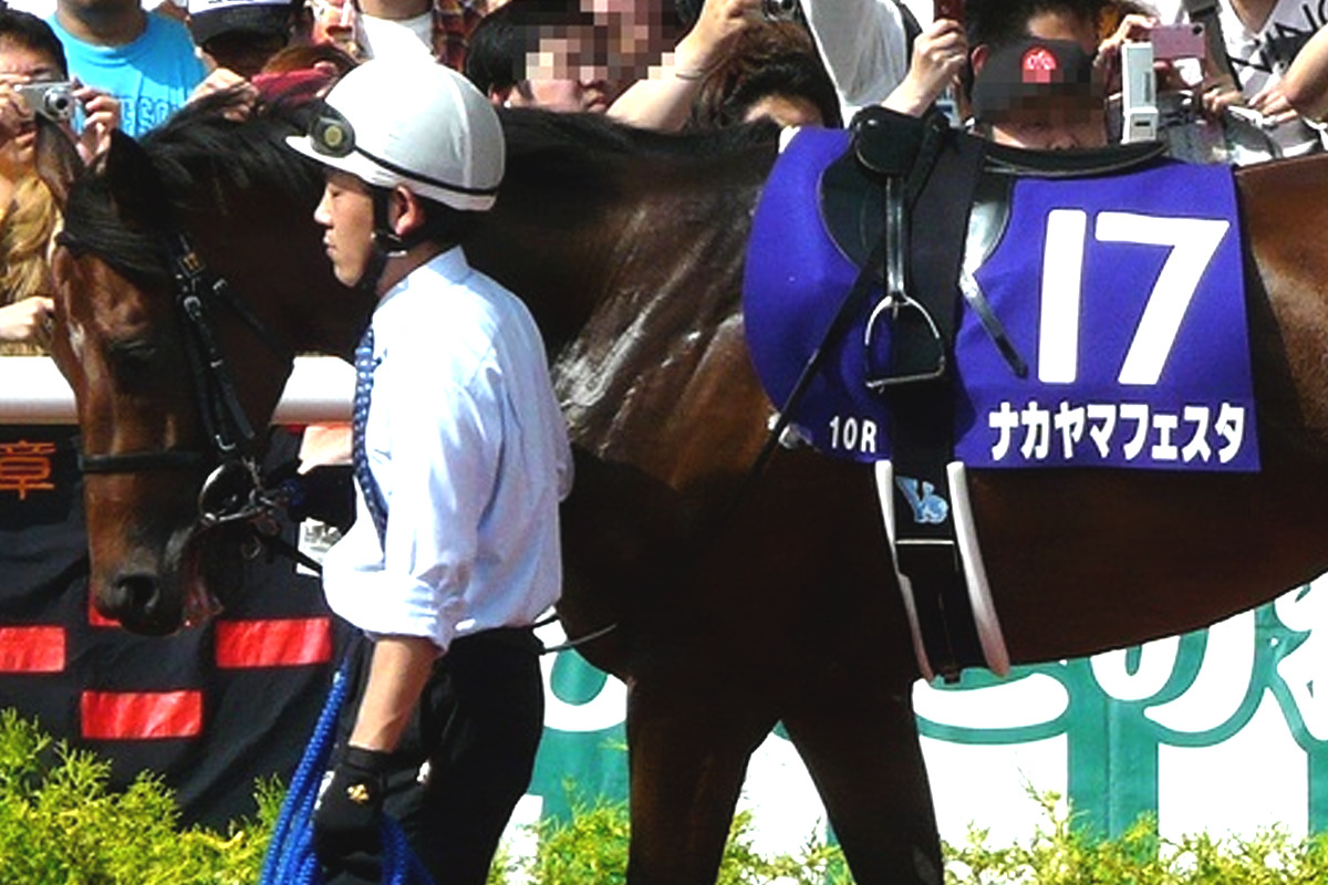 JRA】ウマ娘でも大人気のナカヤマフェスタが種牡馬引退、功労馬に 