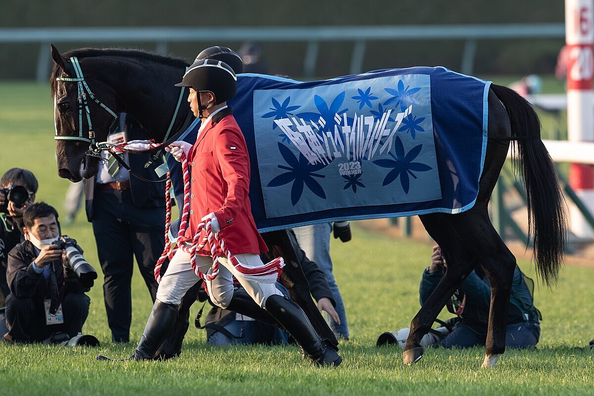JRA】アスコリピチェーノが仏G1ジャックルマロワ賞に登録 | 競馬ヘッド