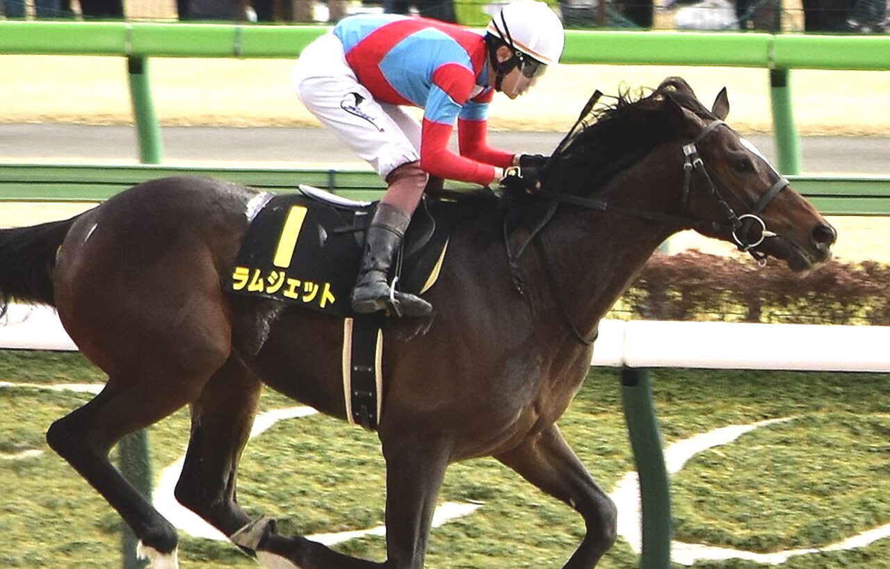 フェブラリーS予想2026】ラムジェットが1週前追い切りで好気配 | 競馬