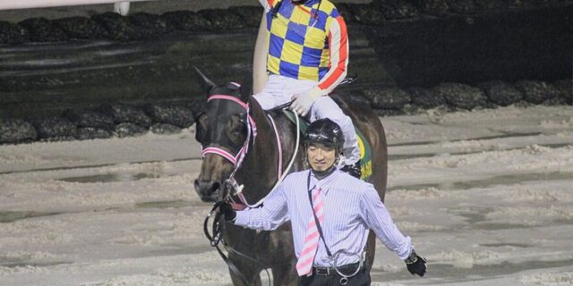 黒船賞2026予想】シャマル4連覇か？勢いのダノンフィーゴが阻止か