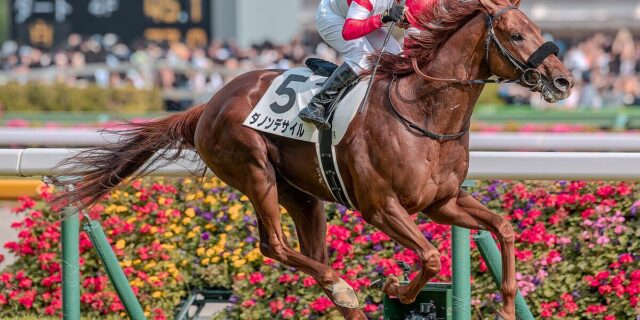 JRA】ダノンデサイルは有馬記念へ、放馬トラブルも影響なし | 競馬
