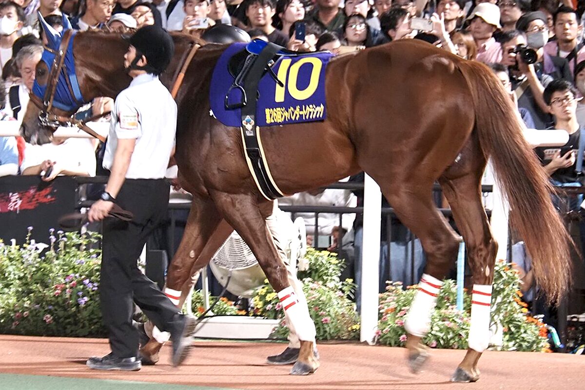 JBCクラシック2025予想】ミッキーファイトが最終追い切りで1番時計