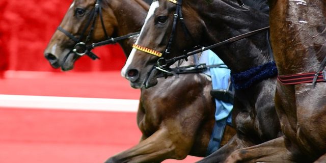 マイルCS予想2025】ソウルラッシュ連覇か？ジャンタルマンタル戴冠か