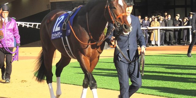 キーンランドC予想2025】パンジャタワーは危険な人気馬か？遠征前の