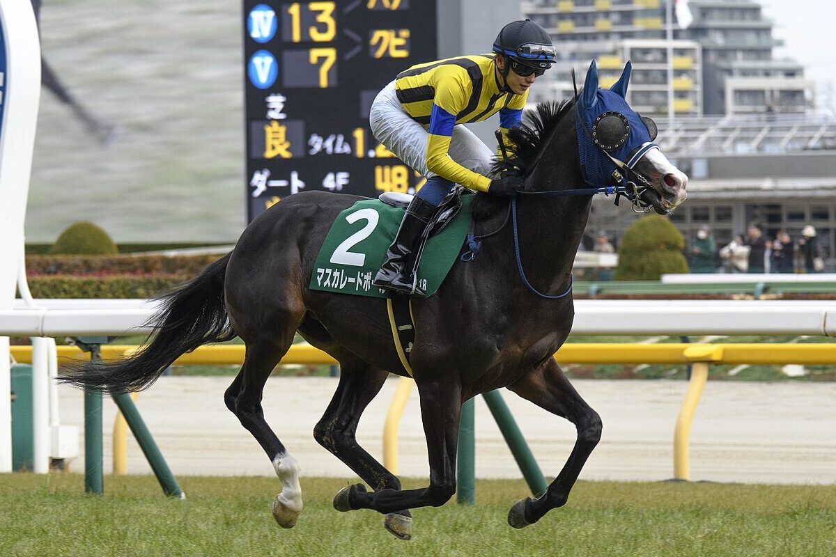 ジャパンC予想2025】2400mはむしろ歓迎？マスカレードボール、距離適性