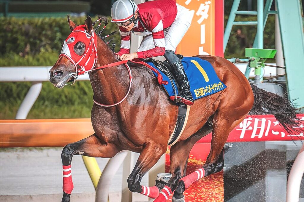 サウジカップ2026特集 | 競馬ヘッドライン