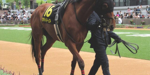 牝馬 府中牝馬S2026】連覇か世代交代か？昨年覇者セキトバイーストに迫る新