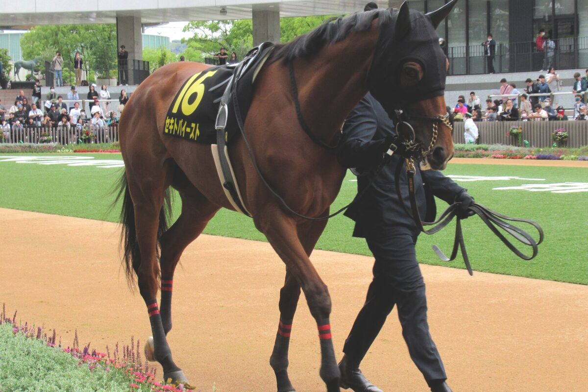 府中牝馬S2026】連覇か世代交代か？昨年覇者セキトバイーストに迫る新